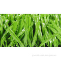 Fake Grass for Football Field (A350119ZD13002)